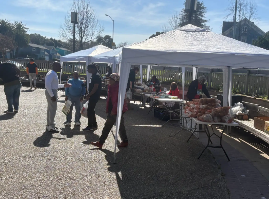 snap-it-fast-3-25-2026_at_21-09-58